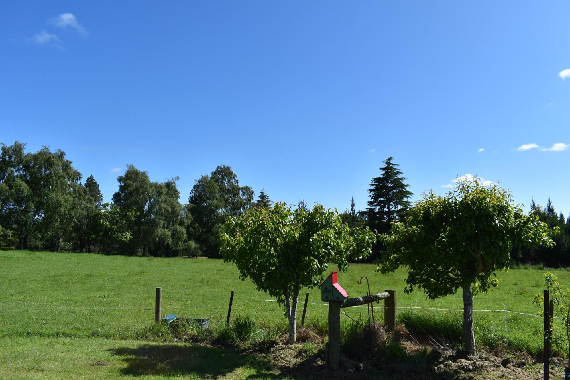 Bnb On Bakers Waimate Extérieur photo
